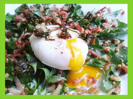 Salade de feuilles de pissenlit traditionnelle, aux lardons et œuf poché