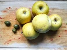 Pommes – Caponata di mele