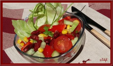 Salade Salsa Weight Watchers