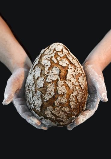 Tentez de gagner Le Grand livre de la Boulangerie édité chez Ducasse Édition