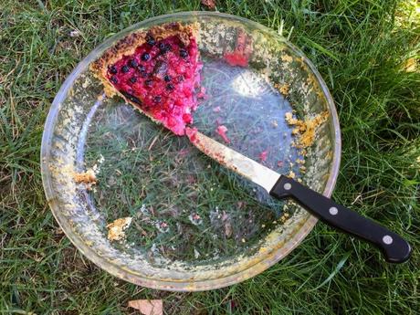 C’est de la tarte… – Tarte aux groseilles (et à la rhubarbe)
