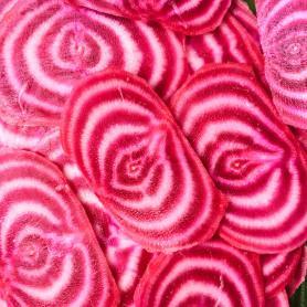 Merveilles de la nature – Pickle de betterave Chioggia