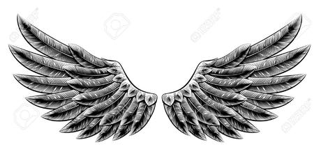 Mes ailes d'anges