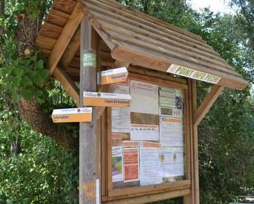 Le Pont de l'Aille- LES ARCS SUR ARGENS (83)