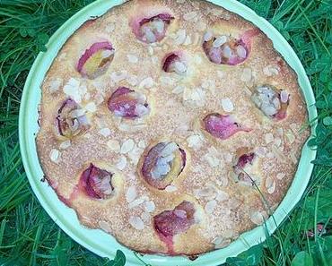 Gâteau aux prunes excellent et rapide !