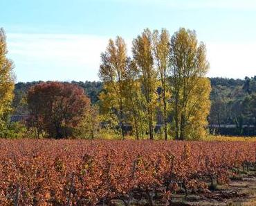 A la faveur de l'automne...