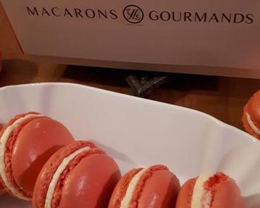 Cours de Macarons Gourmands avec Yannick Lefort