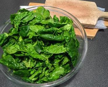 Dîner indien/Lutsubo Express – Palak paneer (épinards au « paneer »)