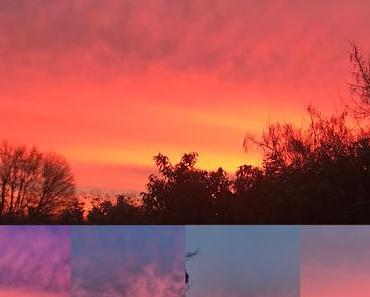 velouté carottes et patates douces