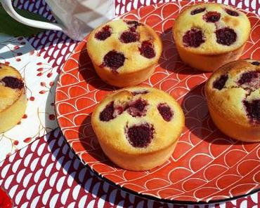 Petits moelleux aux framboises