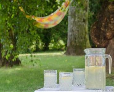 Citronnade maison bien fraîche