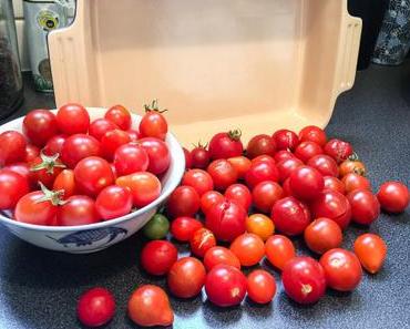 Cueillette – Tomates cerises confites