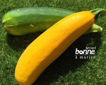 Inspiration de saison : 17 recettes à base de courgettes !