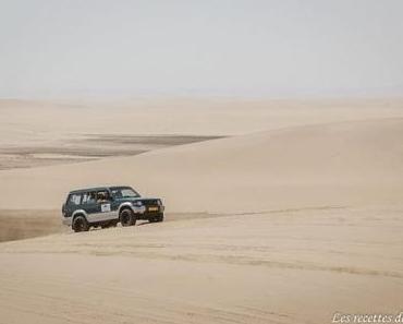 Faire du kayak avec les otaries et du 4×4 dans le désert – Namibie